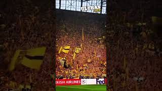 BVB  PSG  DortmundFans zu hause gegen PSG 152024 UCL [upl. by Disini]