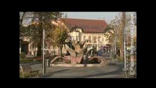 Vreme je za bebe 200512flv [upl. by Jacquenetta]