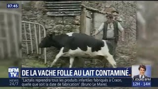 De la vache folle à Lactalis retour sur les principaux scandales sanitaires [upl. by Davide]