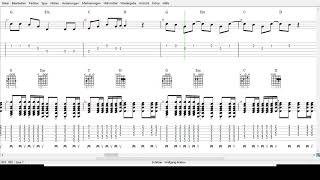 Wolfgang Ambros  Schifoan  Tabs [upl. by Chessy]