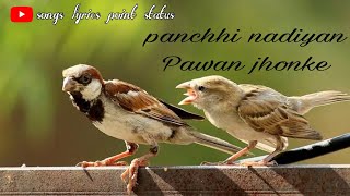 Panchhi Nadiyan Pawan ke jhonke bird status songs lyrics point status [upl. by Aleehs10]