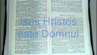 5  FAPTELE APOSTOLILOR  Noul Testament  Biblia Audio Romana [upl. by Maddi]