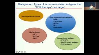 Cellular Therapy Including Transgenic T Cell Receptors for Solid Tumors [upl. by Irdua]