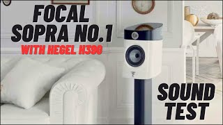 Focal Sopra No 1 Sound Test With Hegel H390 [upl. by Ennaed]