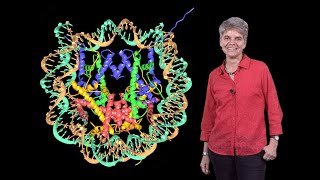 Karolin Luger CU Boulder HHMI Discovery of the Structure of the Nucleosome [upl. by Rosdniw]