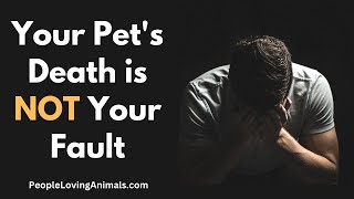 Your Pets Death is Not Your Fault petloss  Pet Grief  Dog Loss  Cat Loss  Pet Death Guilt [upl. by Cinda679]