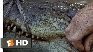 Giant Crocodile Found in Australia Maximus [upl. by Akkire]