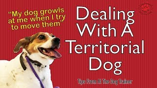 Dealing With A TerritorialAggressive Dog  Tips From Al The Dog Trainer [upl. by Aittam]