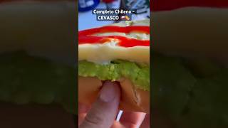 Probando completo Chileno en el CEVASCO 🇨🇱🌭 misterroka completos chile cevasco hotdog [upl. by Nylac]