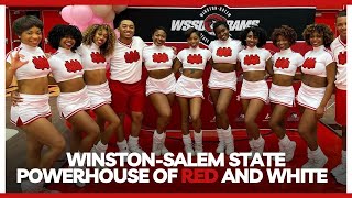 WinstonSalem State University Powerhouse of Red and White Cheerleaders [upl. by Oiligriv]