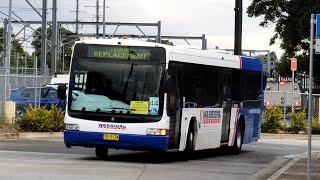 Warrigal Charters TV 5174  Scania L94UB NCBC Downtown [upl. by Assennav]