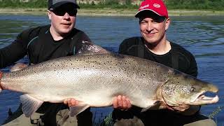 Lohi 2312 kg Tenolta  Big Salmon from Teno River  Salmon Fishing Finland  Norway Border [upl. by Mintun338]