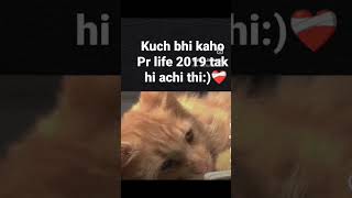 sahi bat hai🙂youtubeshortssubscribemychannel [upl. by Atteuqal415]