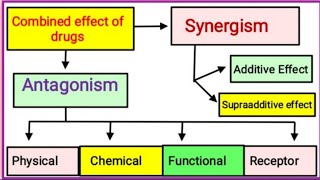 Combined Effect of Drugs [upl. by Uy]