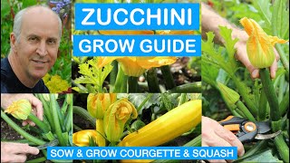 ZUCCHINI GROW GUIDE How to Sow amp Grow zucchini courgette marrows amp squash organically [upl. by Namrehs]