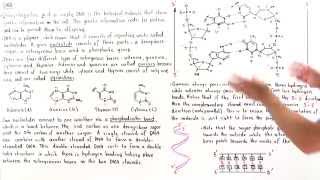 Introduction to DNA [upl. by Ignacia]