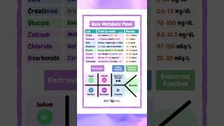 Metabolic panel [upl. by Solenne]