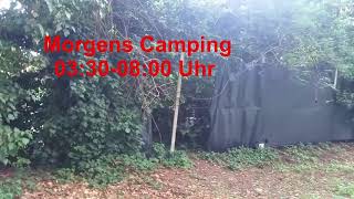 Camping Ca Savio Eurocamp Gänse und Hähne morgens Lärm [upl. by Ecidnac]