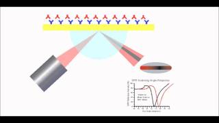 Surface Plasmon Resonance Explained [upl. by Gney]