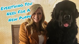 Complete Guide To Everything You Need For Bringing Home A Newfoundland Puppy  Newf Puppy Explained [upl. by Scammon]