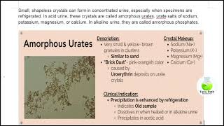 Amorphous urates crystal in urine [upl. by Moulton31]