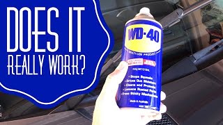 WD40 Hack on Wiper Blades Does it really work [upl. by Sibell]