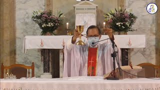 Catholic Mass Today Sunday 30 May 2021 [upl. by Odetta972]