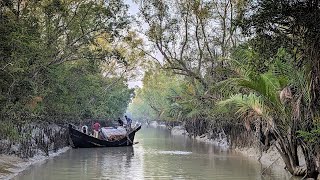 অসময়ে কচিখালি সুন্দরবন সম্পূর্ণ রিভিউ  Kochikhali  Sundarban  Dimer Char  Kotka  Andharmanik [upl. by Louise]