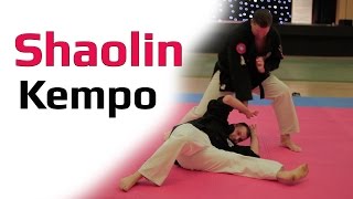 Awesome Shaolin Kempo Master Toni Finken Schaffrath [upl. by Aciria472]