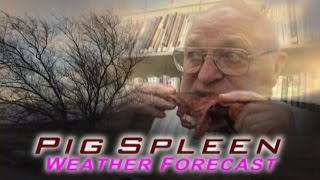 Pig Spleen Forecasting  Southwest TV News [upl. by Craw]