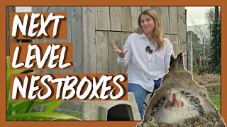 How To Build Chicken Nesting Boxes That Your Hens Will Love [upl. by Nevak803]