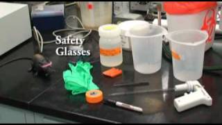 Protein Purification with Dialysis Tubing [upl. by Lanaj]