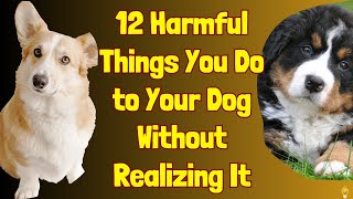 You Are Harming Your Dog And You Dont Even Know It [upl. by Ladnor]