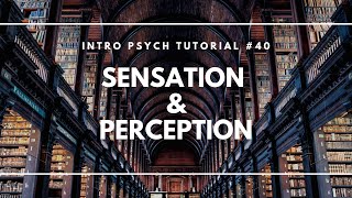 Introduction to Sensation and Perception Intro Psych Tutorial 40 [upl. by Atinnod]