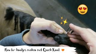 HOW TO Quick knot invlechten maken bij je paard  ENGL SUBS  7  Epplejeck [upl. by Lyndes129]