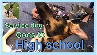 How high school really is with a service dog OUR FIRST DAY [upl. by Arron]