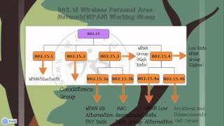 IEEE 802 Wireless Standards [upl. by Lietman]