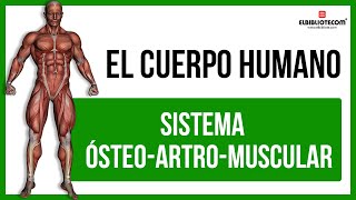 Sistema Ósteoartromuscular 💪 El Bibliotecom 📚 [upl. by Lawan672]