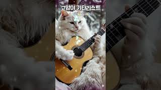 웃짤 고양이 기타리스트 🐈 Shorts 쇼츠 고양이 밈 밈짤 웃짤 짤방 힐링 AI [upl. by Coster]