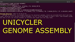 unicycler tutorial genome assembly [upl. by Emlin]