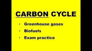 THE CARBON CYCLE  greenhouses gases biofuels carbon footprint [upl. by Jammie]