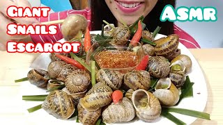 ASMR Giant Snails Escargot Mukbang Eating Sounds [upl. by Arin357]