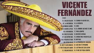 VICENTE FERNANDEZ MIX ROMANTICAS VIEJITAS PARA ADOLORIDOS LAS MEJORES RANCHERAS [upl. by Abehsat]