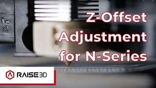 NSeries ZOffset Calibration Guide  Raise Academy [upl. by Wesa]