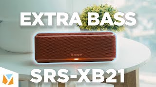 Sony EXTRA BASS SRSXB21 Bluetooth Speaker Review [upl. by Nagoh]