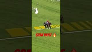 Crazy fight for victory in the 2024 Grand Steeple Chase 🏆 horseracing [upl. by Mills]