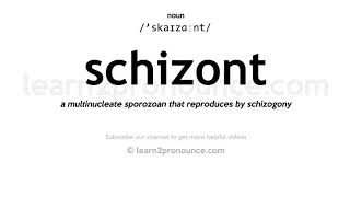 Pronunciation of Schizont  Definition of Schizont [upl. by Macur]