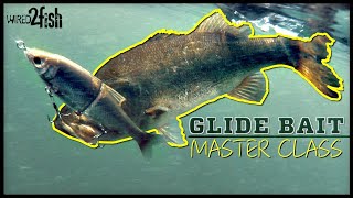 Glide Bait Bass Fishing 🐟  Everything You Need to Know ‼️ [upl. by Auqinihs]