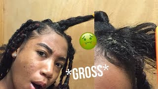 TAKING MY BRAIDS OUT GROSS NEW GROWTH [upl. by Farrington260]