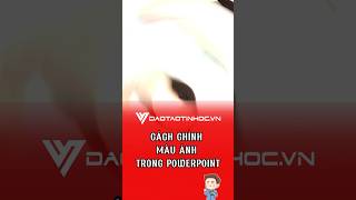 Cách chỉnh màu ảnh trong Powerpoint daotaotinhoc tinhocvanphong powerpoint [upl. by Belmonte]